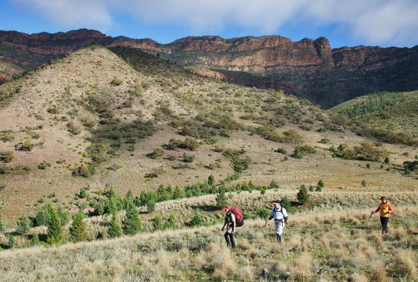 Three hikers traverse a grassy landscape, with the Flinders Ranges in the background on The Arkaba Walk, South Australia © Wild Bush Luxury