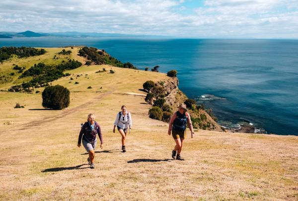 A group hike along a rugged cliff edge on Maria Island, Tasmania © Tourism Australia