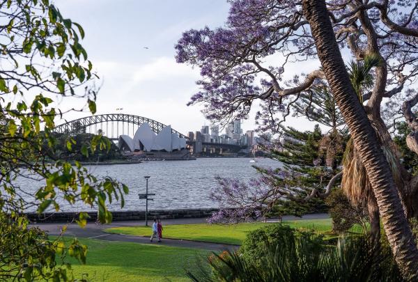 View of Sydney Harbour from the Royal Botanic Gardens in spring © Destination NSW