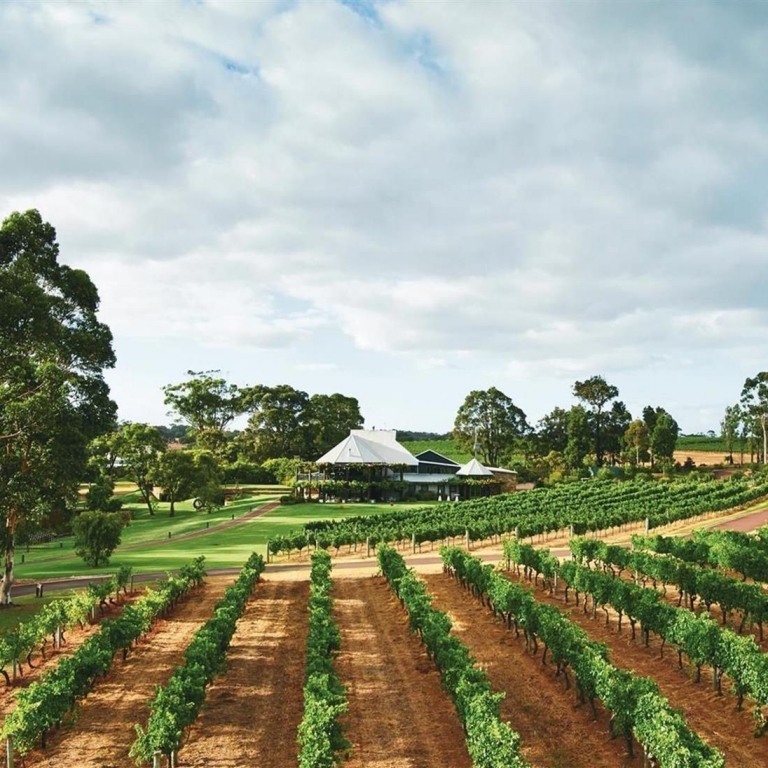 Aerial of Vasse Felix, Cowaramup, Margaret River, Western Australia © Tourism Australia