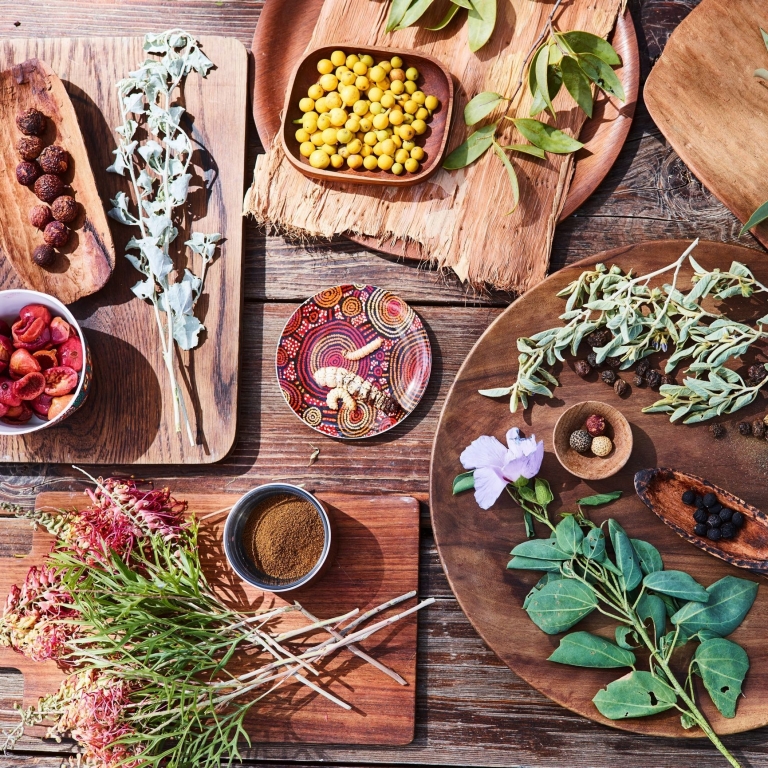 Bush tucker, Voyages Indigenous Tourism Australia, Uluru-Kata Tjuta National Park, Northern Territory © Voyages Indigenous Tourism Australia