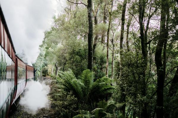 West Coast Wilderness Railway train rolling through the rainforest in Strahan, Tasmania © Tourism Australia