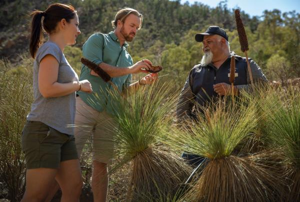 Group exploring Ikara-Flinders Ranges National Park, Wilpena Pound Resort, Ikara-Flinders Ranges National Park, South Australia © Tourism Australia
